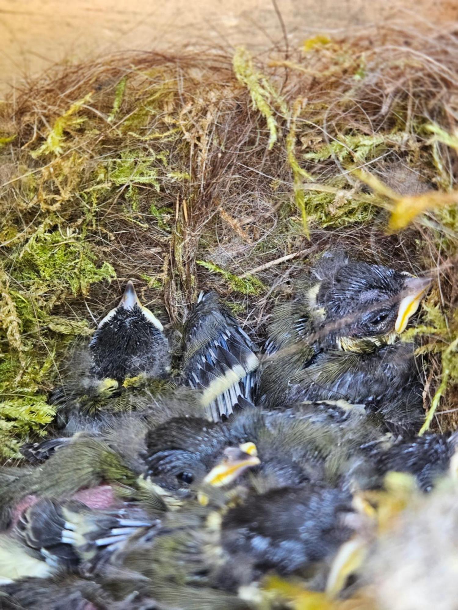Terre Et Mer Longfossé Kültér fotó